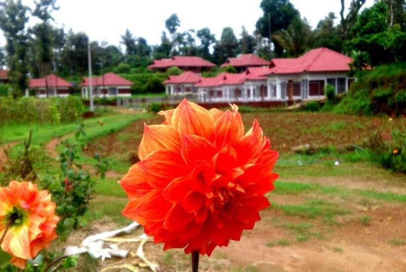 Himani Heritage Resorts, Formerly Camp Nishani Holidays Madikeri Exteriér fotografie